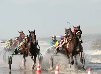 Pferderennen-Krautsand2009